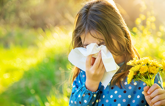 girl-with-dandelions-wipes-nose-from-allergies_537x358